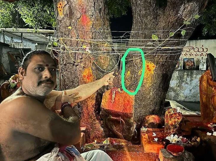 నాగపంచమి రోజున సర్పరాజు దర్శనం