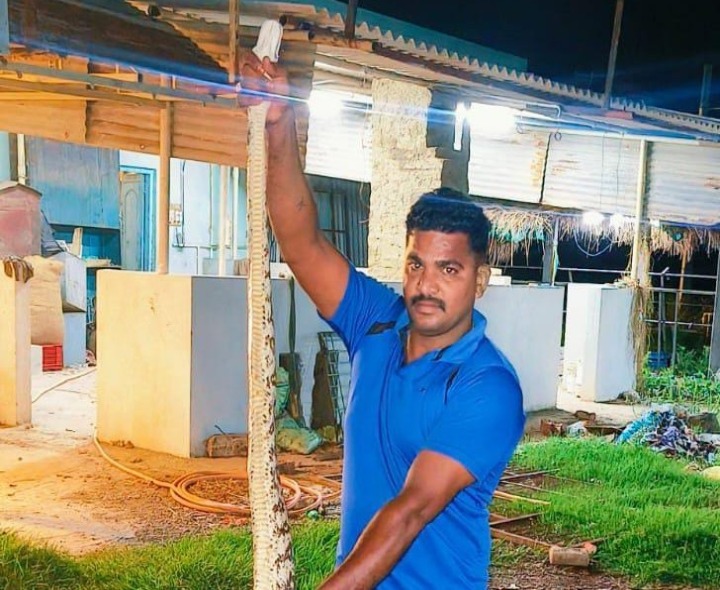 గణపవరంలో కొండచిలువ కలకలం