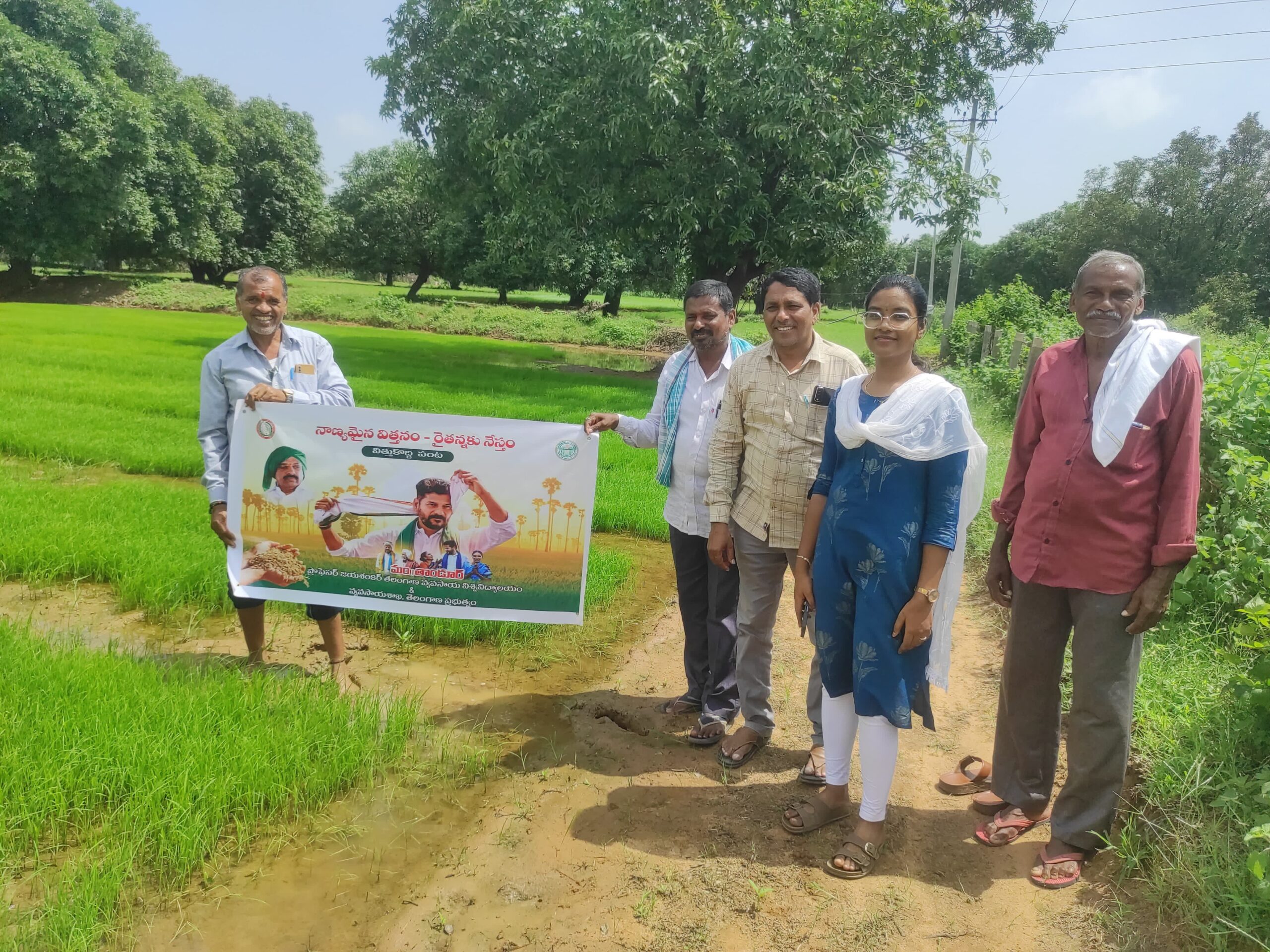 పలు మండలాల్లో వరి, పెసర విత్తనాల సరఫరా