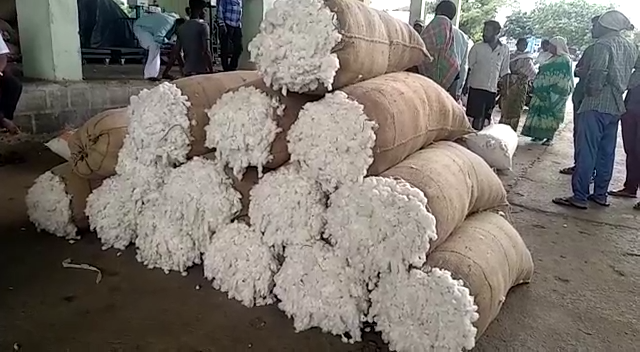 క్వింటా పత్తి ధర రూ. 7,620