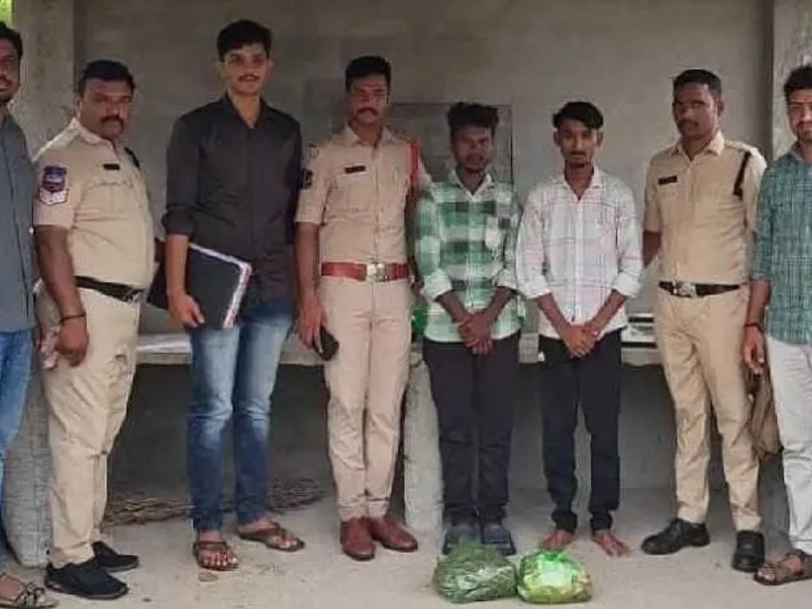 మోతే మండలంలో గంజాయి పట్టివేత