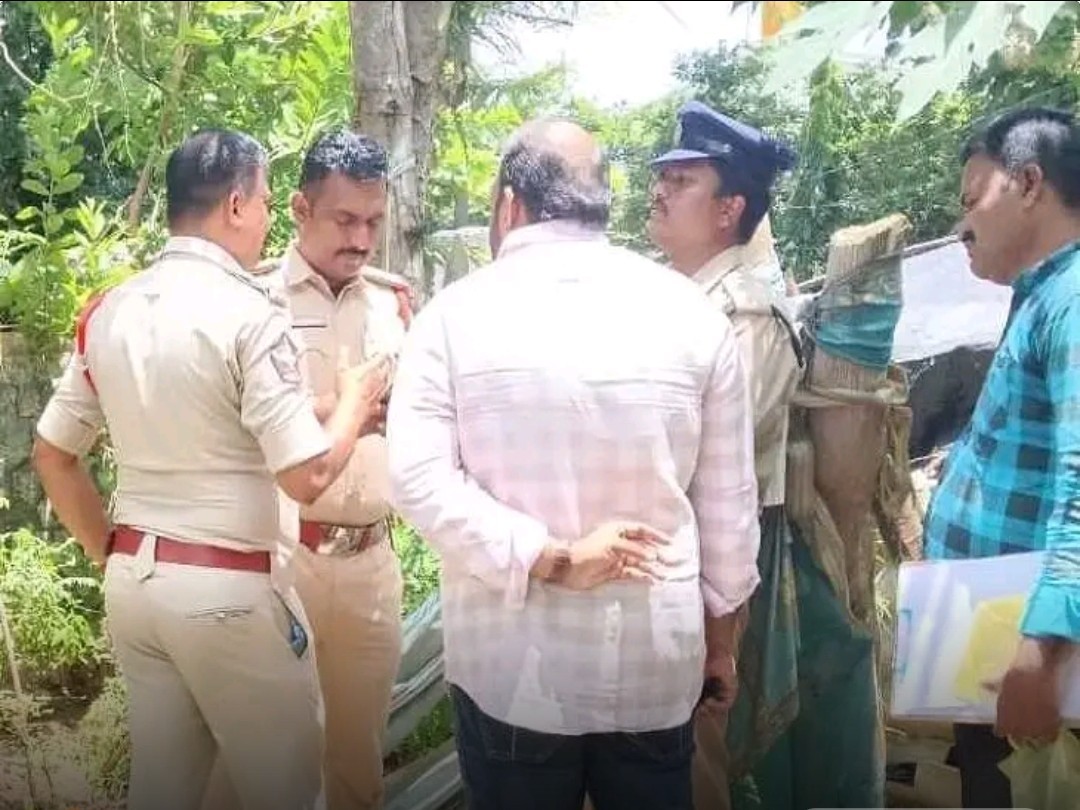 ఇంటి ఆవరణలో గంజాయి మొక్కలు