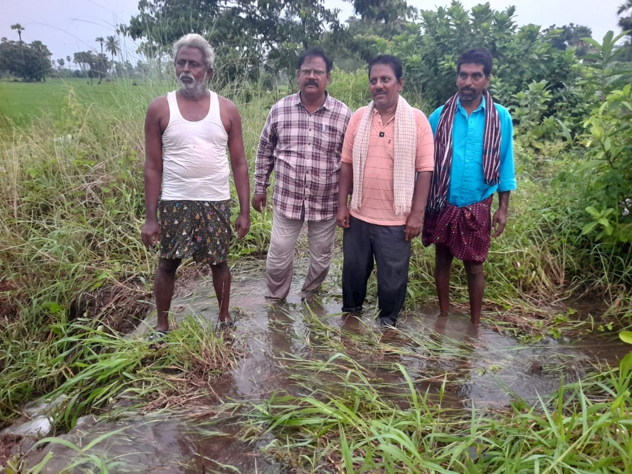 వెలువోలులో పొంగిన కాలువ – స్పందించిన అధికారులు