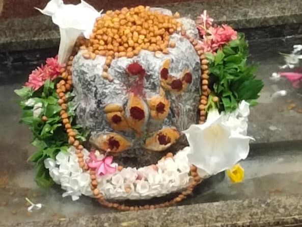 నీలకంఠేశ్వర స్వామికి పంచమి ప్రత్యేక పూజలు