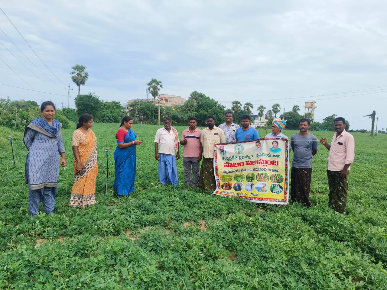 వేరుశెనగ పంటను పరిశీలించిన అధికారులు