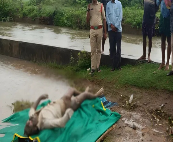ప్రమాదవశాత్తు కాలువలో పడిన వ్యక్తి మృతదేహం లభ్యం