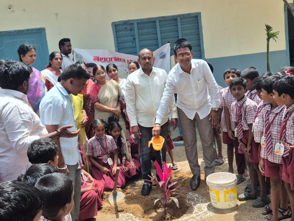 పాఠశాలలో వన మహోత్సవం