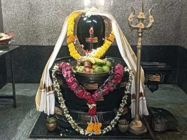 మల్లేశ్వర స్వామి ఆలయంలో నక్షత్ర శాంతి నవగ్రహ పూజ