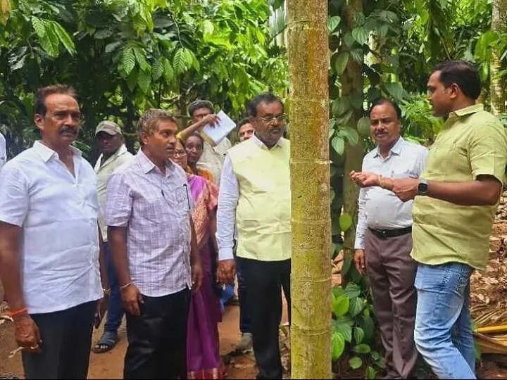 ‘కోకో తోటల్లో అంతర పంటల ద్వారా రైతులకు మేలు’