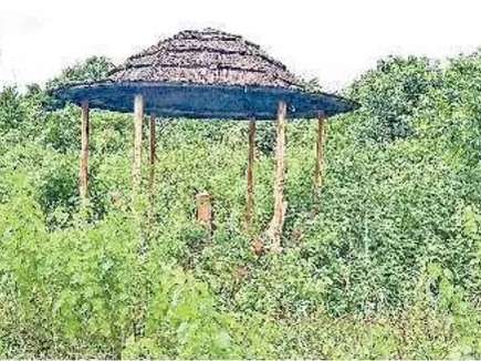 నిర్లక్ష్యం నీడలో ఔషధ వనాల పార్క్