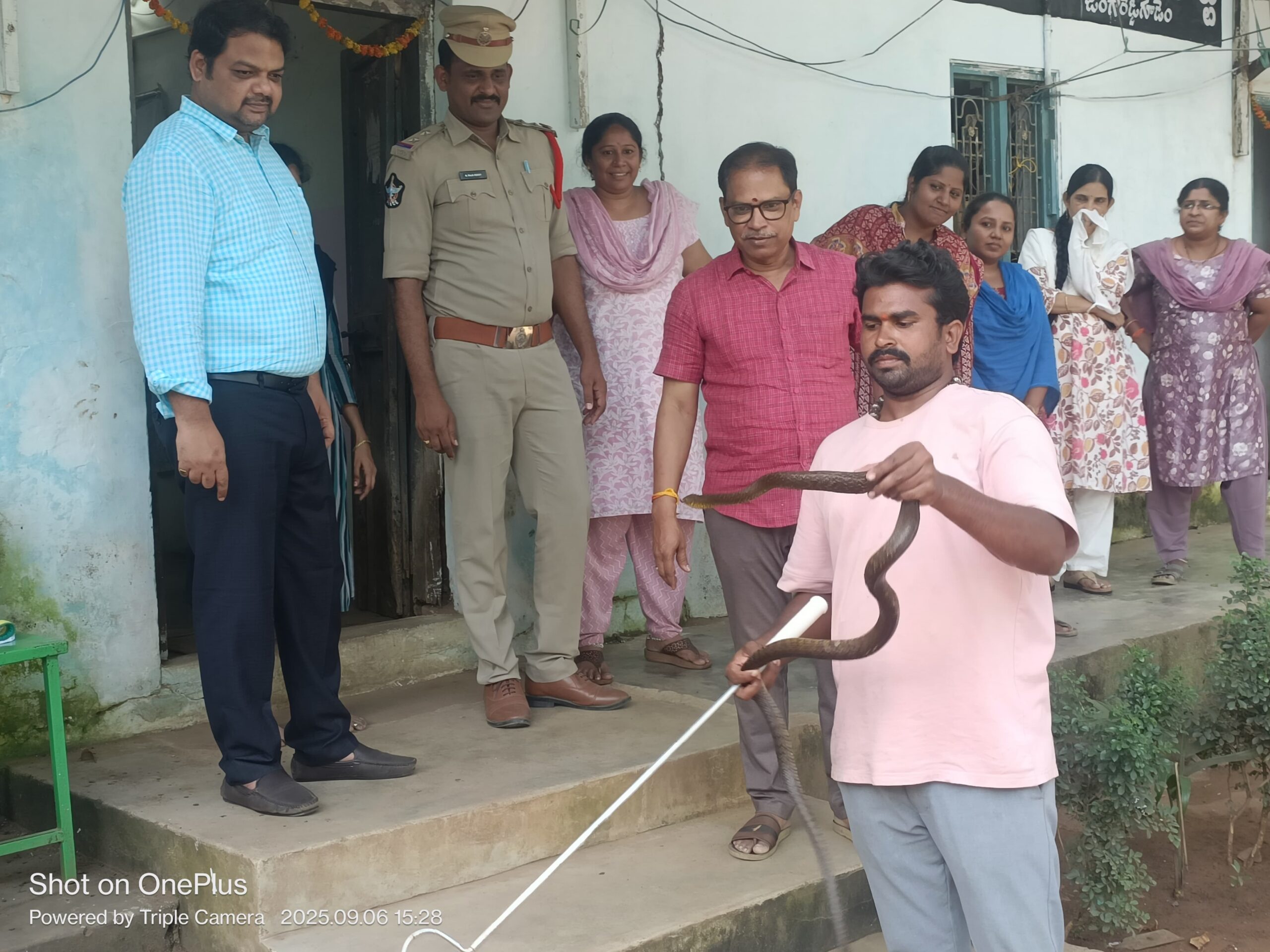 కోర్టులో పాము కలకలం