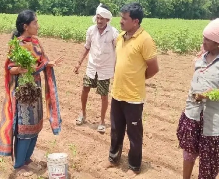 రైతులకు అవగాహన కల్పించిన ఏవో