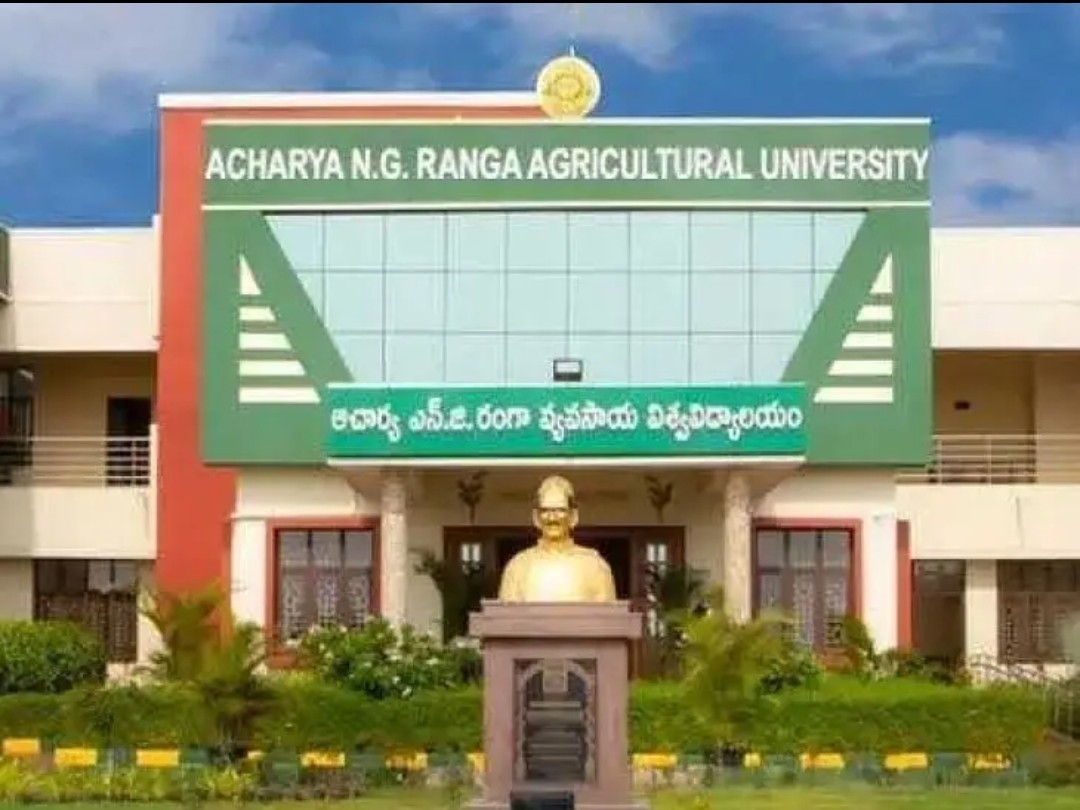 ఎన్జీరంగా వ్యవసాయ వర్సిటీకి 31వ ర్యాంక్