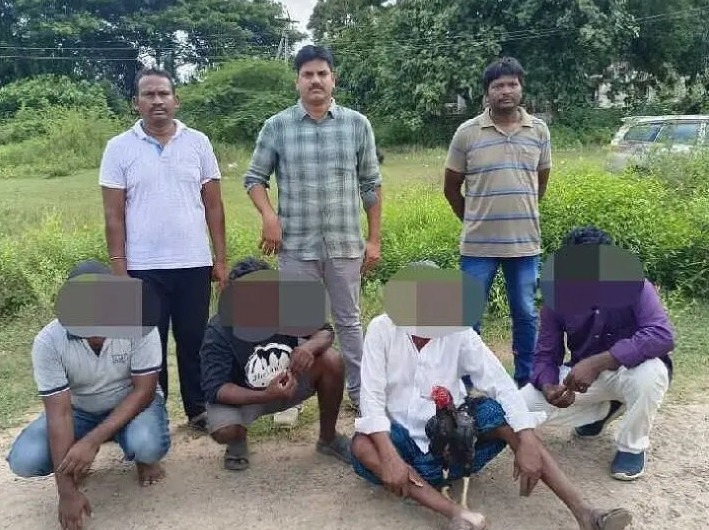 కోడి పందేలు ఆడుతున్న నలుగురు అరెస్ట్