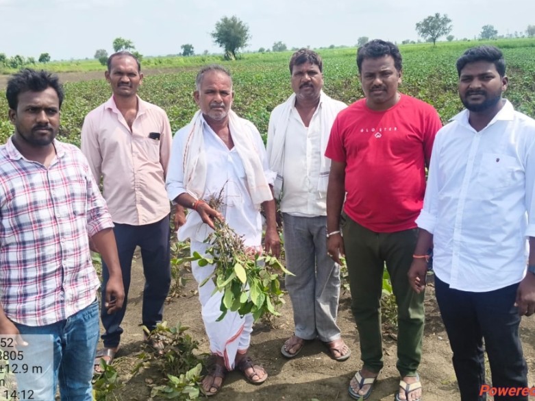 డోంగ్లీ మండలంలో 3200 ఎకరాలు పంట నష్టం