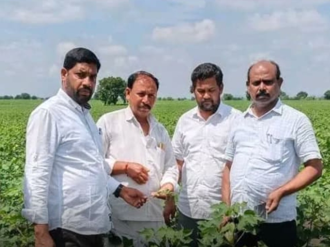 పత్తి పంటను పరిశీలించిన వ్యవసాయ అధికారులు
