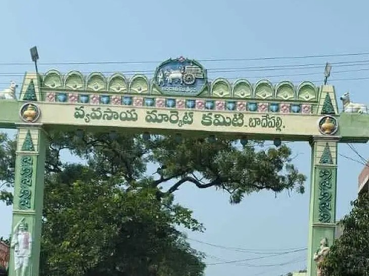బాదేపల్లి వ్యవసాయ మార్కెట్ యార్డులో నేటి పంట ఉత్పత్తుల ధరలు