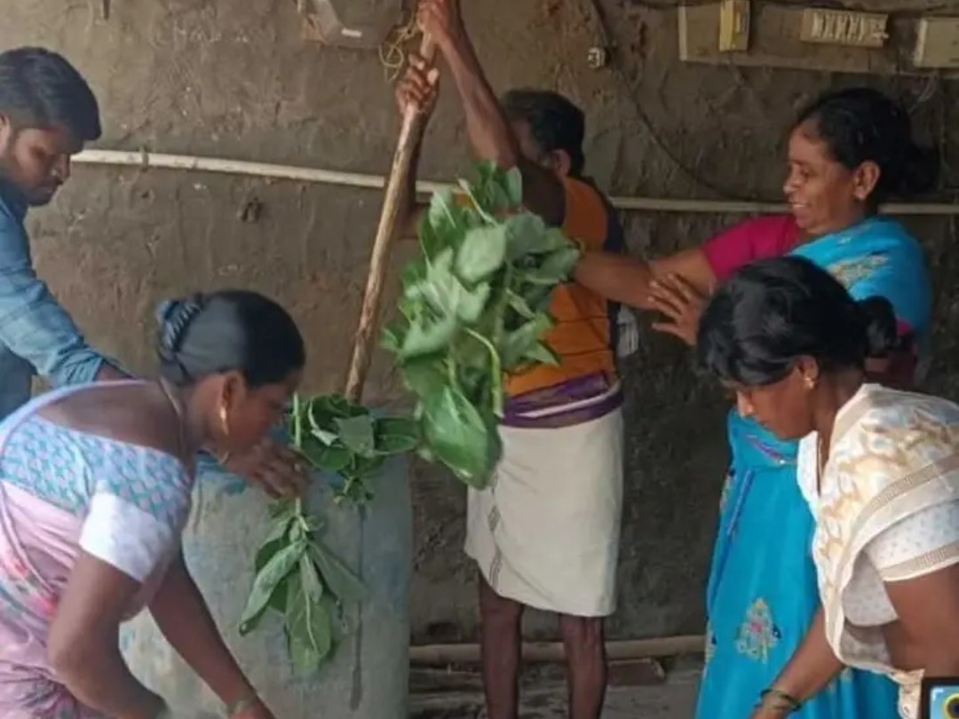 జిల్లేడు ద్రావణంతో పంటకు మేలు