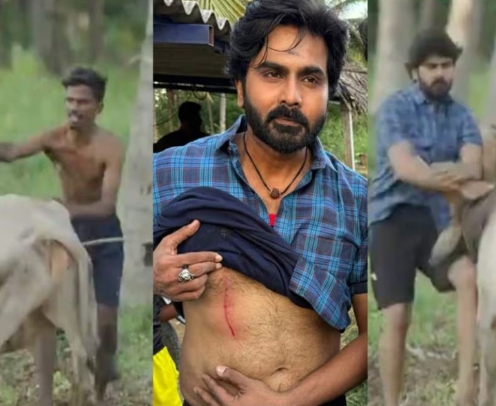 హీరోపై దాడి చేసిన ఎద్దు