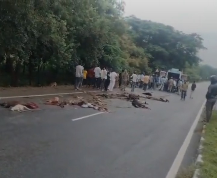 ఘోర రోడ్డు ప్రమాదం..గొర్రెల కాపరి మృతి