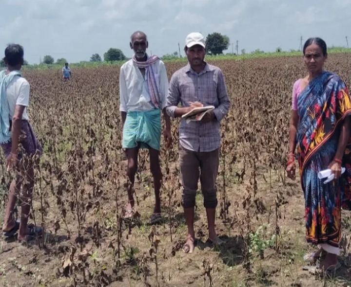 జిల్లాలో వర్షాలతో 852 ఎకరాల్లో పంట నష్టం