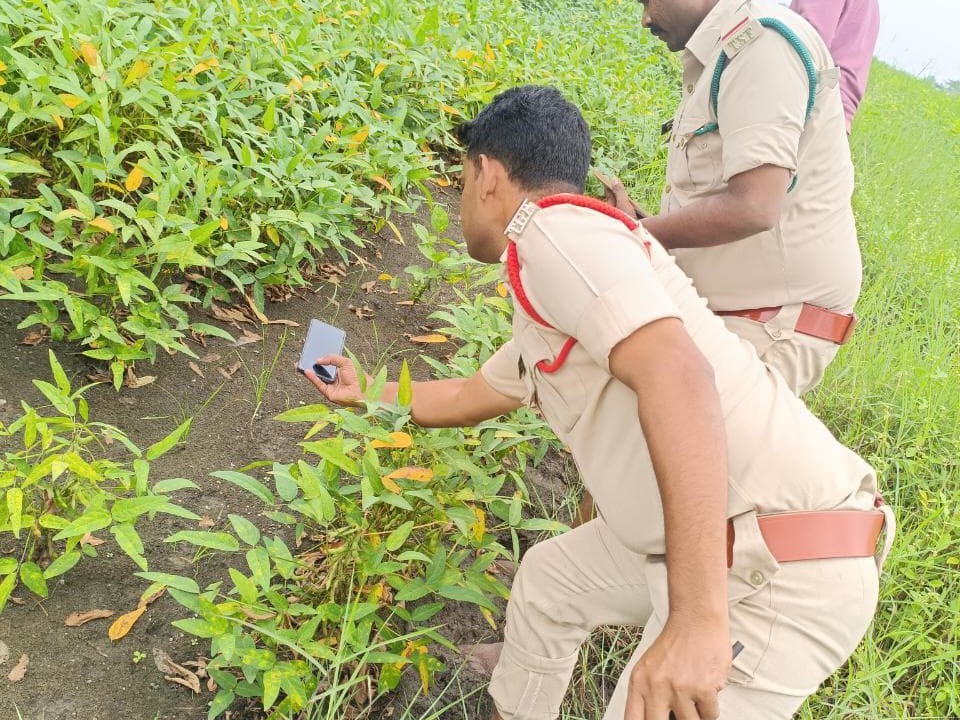మద్నూర్‌లో చిరుత సంచారం