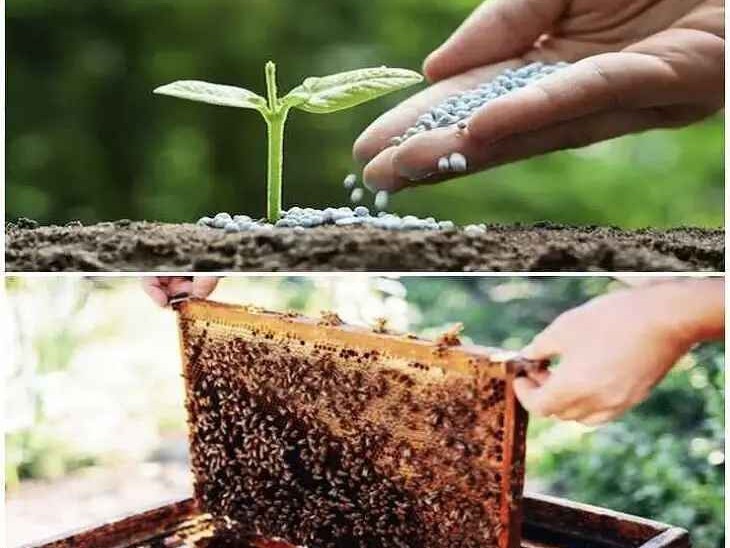 ఆన్‌లైన్ వ్యవసాయ కోర్సులకు దరఖాస్తులు