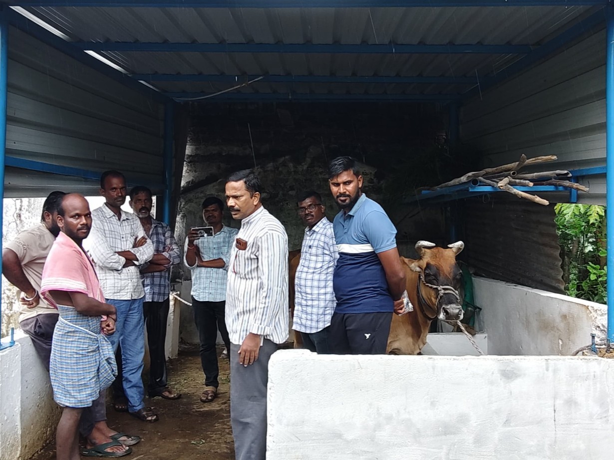 మినీ గోకులం షెడ్ పరిశీలన