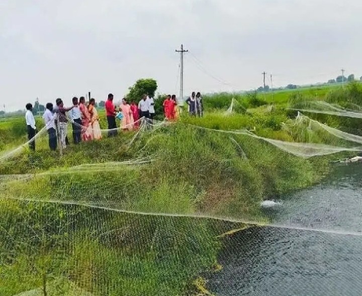 చేపల పెంపకం యూనిట్లు పరిశీలన