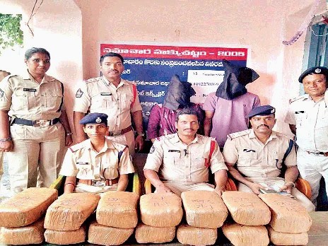 40 కేజీలు గంజాయి పట్టివేత