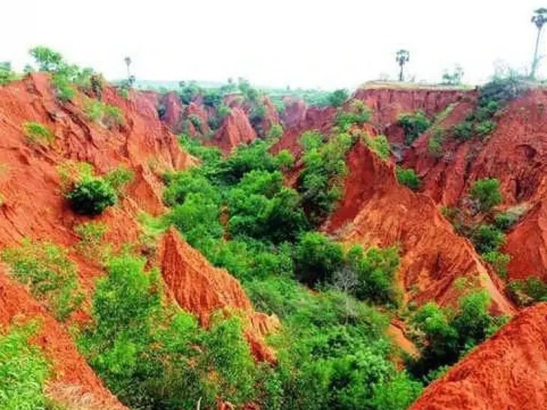 యునెస్కో జాబితాలో ఎర్రమట్టి దిబ్బలు