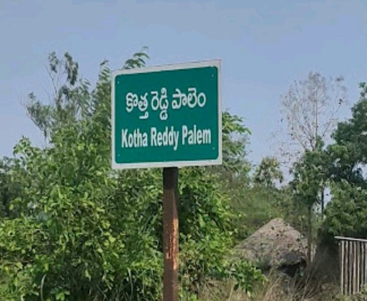 కొత్తరెడ్డి పాలెంలో పెరుగుతున్న జ్వర బాధితులు