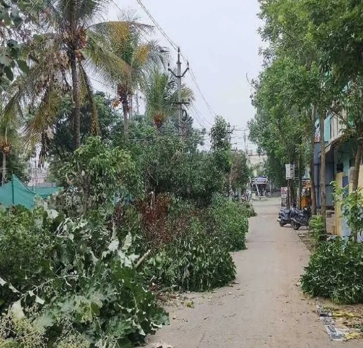 తెనాలిలో చెట్ల కొమ్మల తొలగింపు