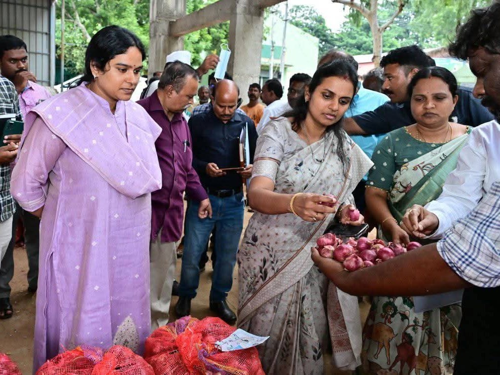 ఉల్లి ఉత్పత్తులను పరిశీలించిన కలెక్టర్