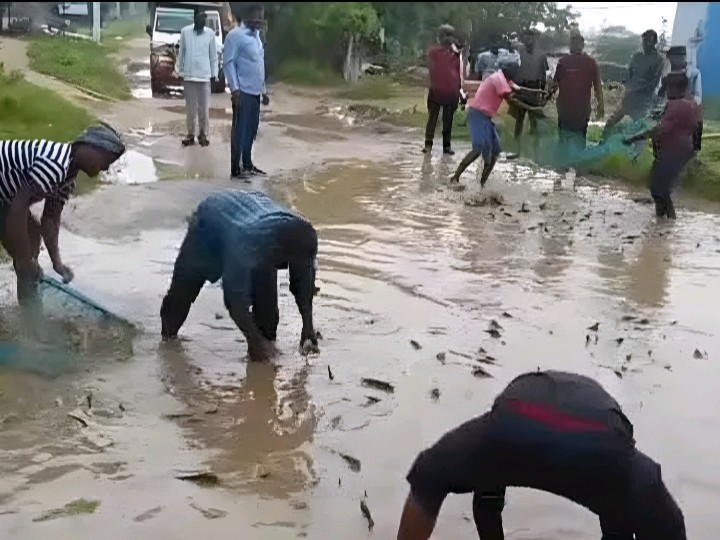 వలలు వేసి రోడ్డుపైనే చేపల వేట