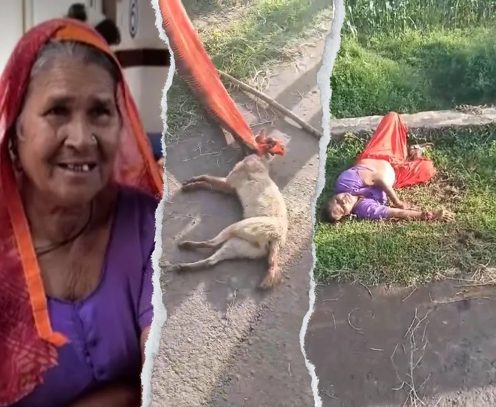 గుండె నిండా ధైర్యం.. చీర కొంగే ఆయుధం