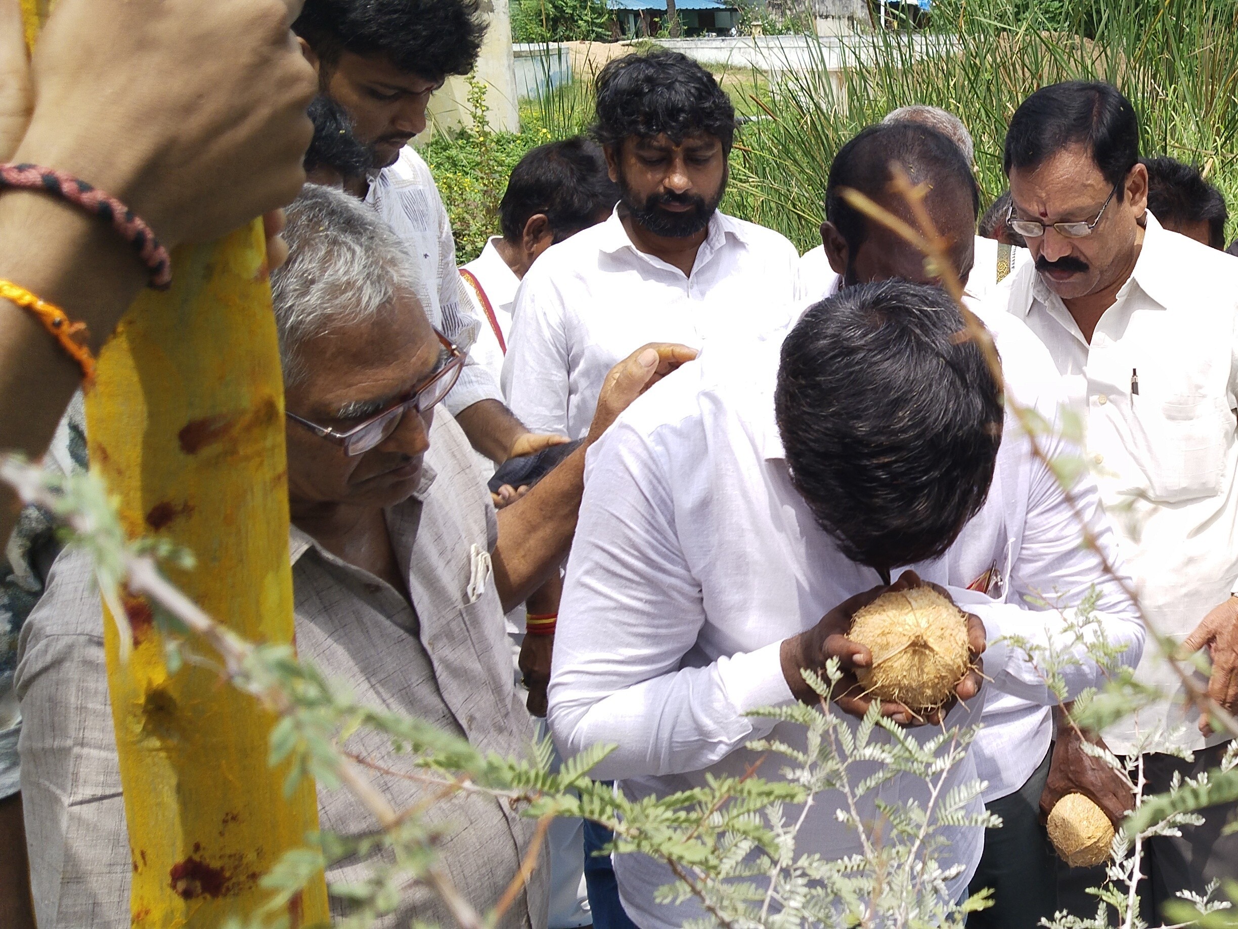 రాటా మహోత్సవం