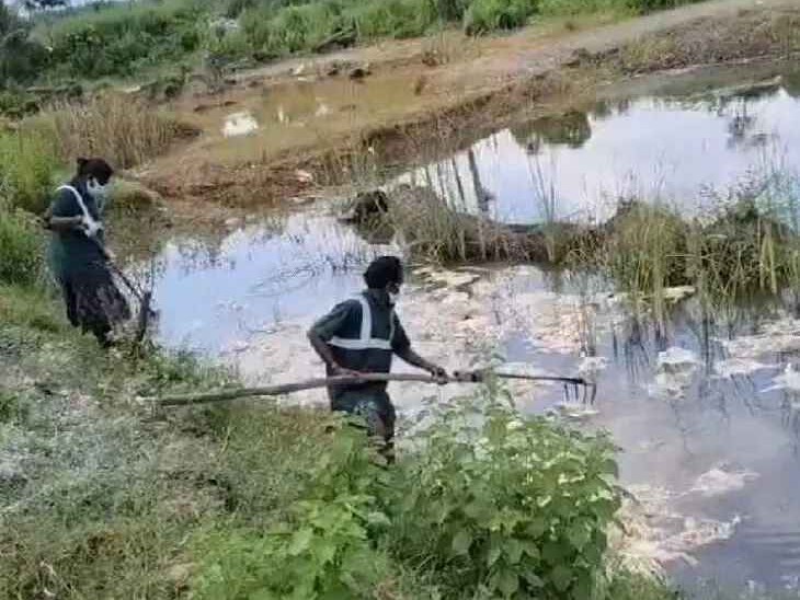 కోళ్ల వ్యర్థాలను తొలగించిన హరితరాయబారులు