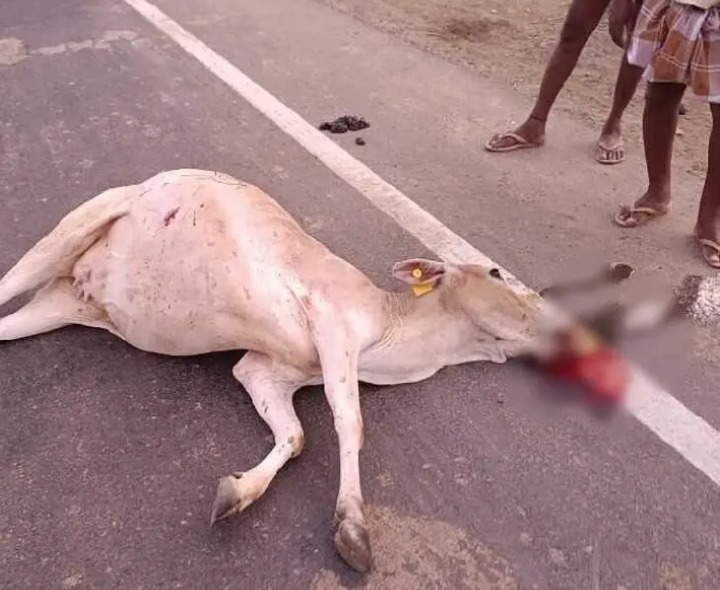 రాపూరులో జాతీయ రహదారిపై రోడ్డు ప్రమాదం