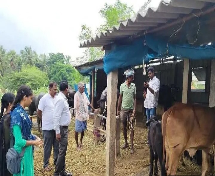 గాలికుంటు వ్యాధి నివారణకు టీకాలు