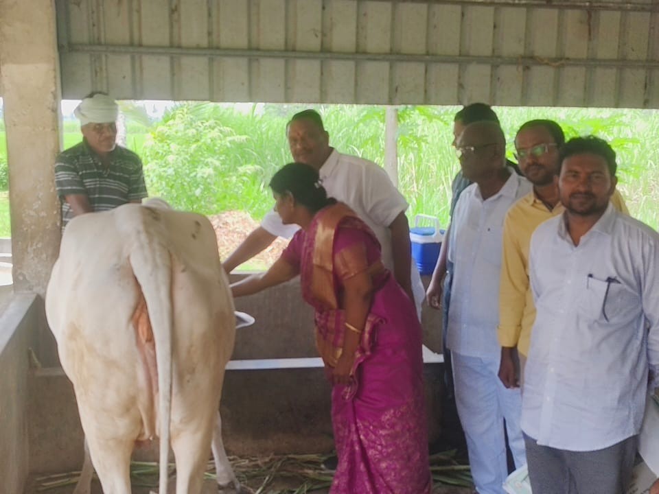 ‘గాలికుంటు వ్యాధి నిరోధక టీకాలు సద్వినియోగం చేసుకోండి’