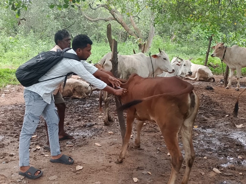 ‘పశు వ్యాధుల పట్ల అప్రమత్తంగా ఉండాలి’
