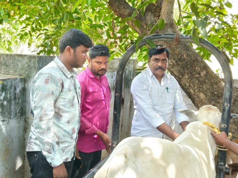 మర్రిపూడిలో పశు వైద్య శిబిరం