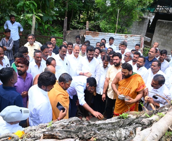 శివాలమర్రి చెట్టు పరిరక్షించేందుకు చర్యలు: ఎమ్మెల్యే