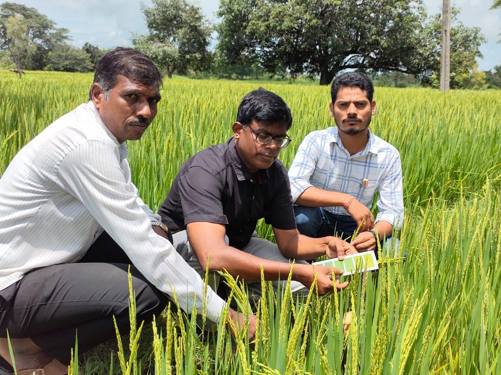 ‘మోతాదుకు మించి ఎరువుల వాడకం చేయవద్దు’