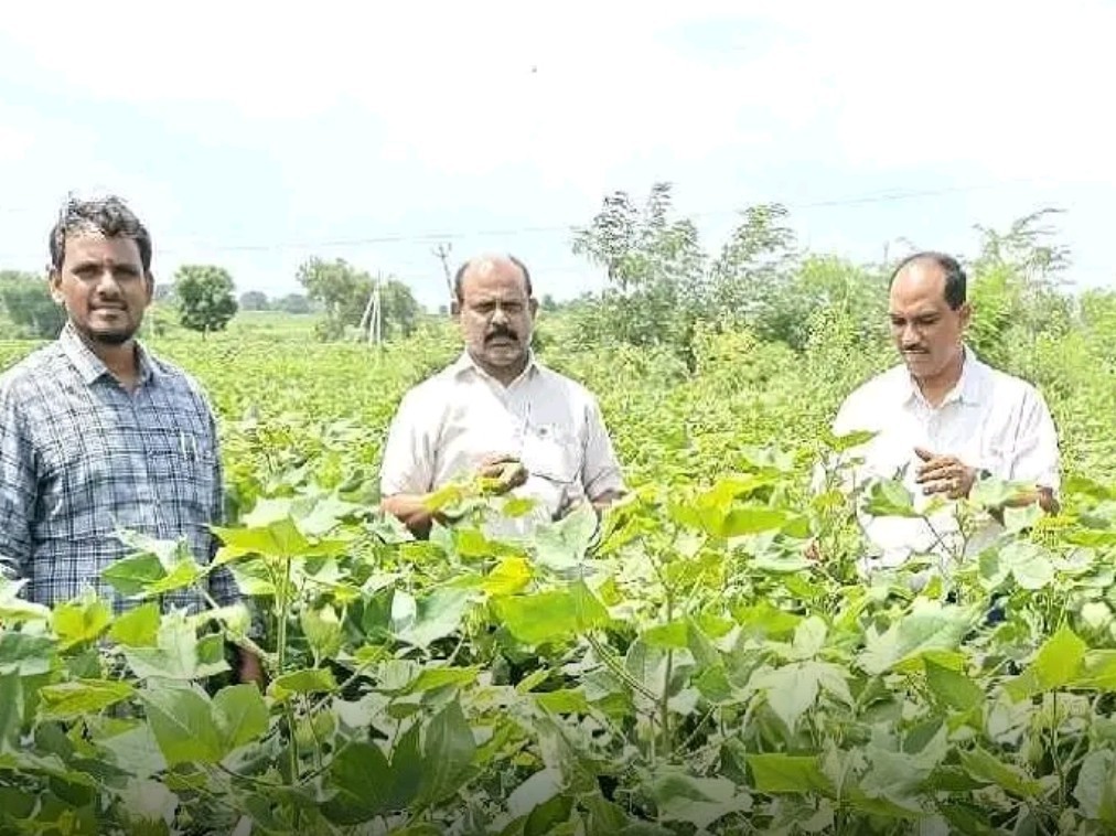 పత్తి పొలాలను పరిశీలించిన ADA