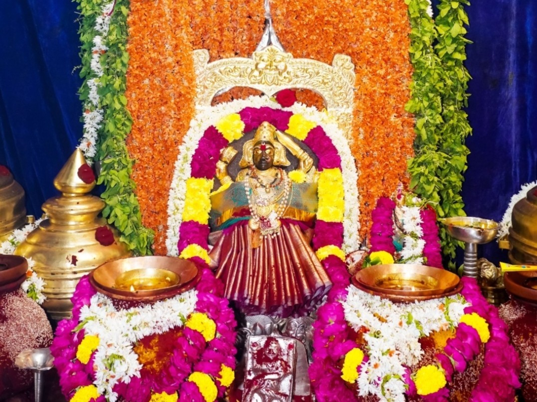 కొండతామరాపల్లిలో సిరిమాను చెట్టు