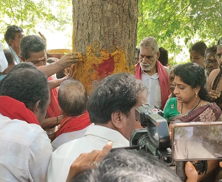 పైడితల్లి అమ్మవారి సిరిమాను చెట్టుకు బొట్టు