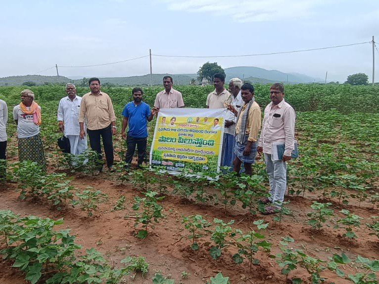 బేస్తవారిపేటలో ‘పొలం పిలుస్తుంది’ కార్యక్రమం