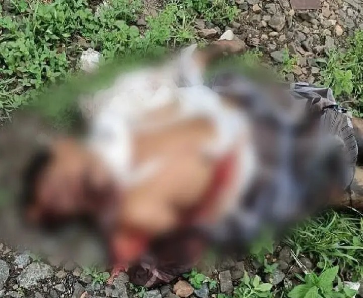 రైలు కిందపడి ఉదయగిరి వాసి మృతి